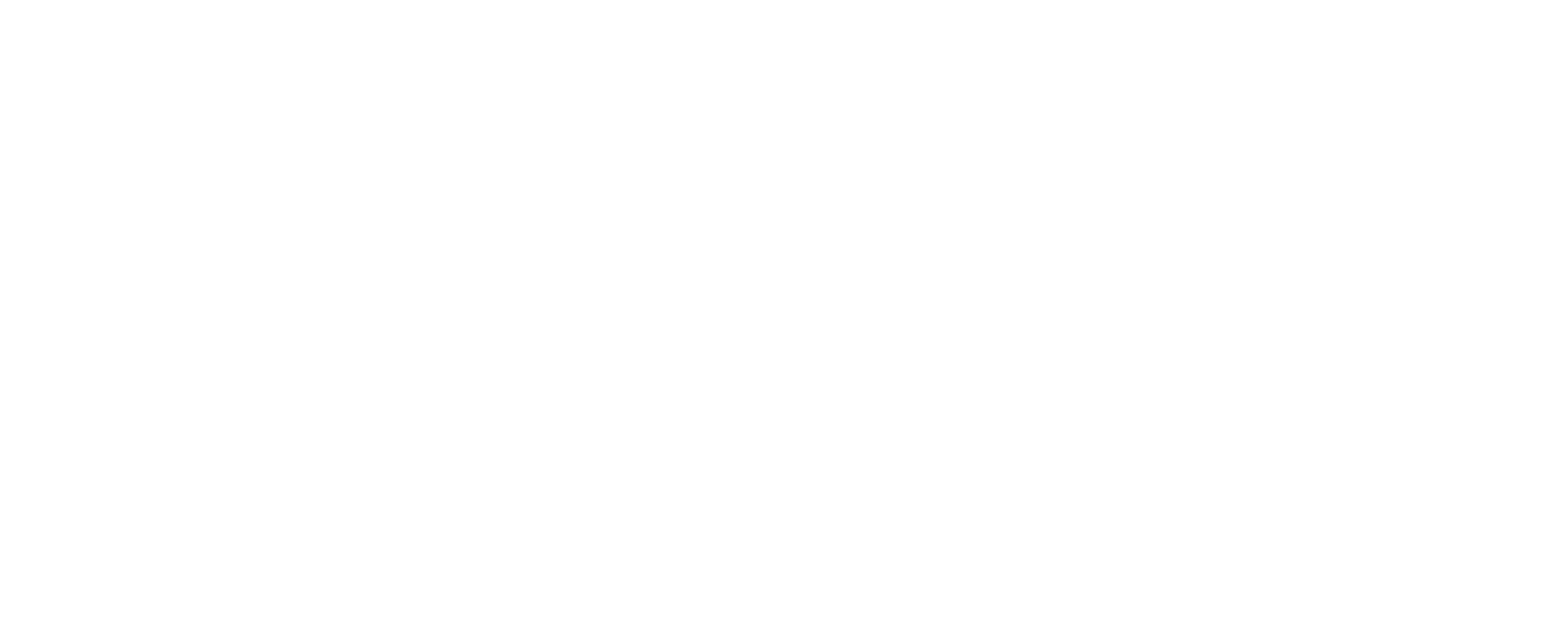 DittoDub white text logo